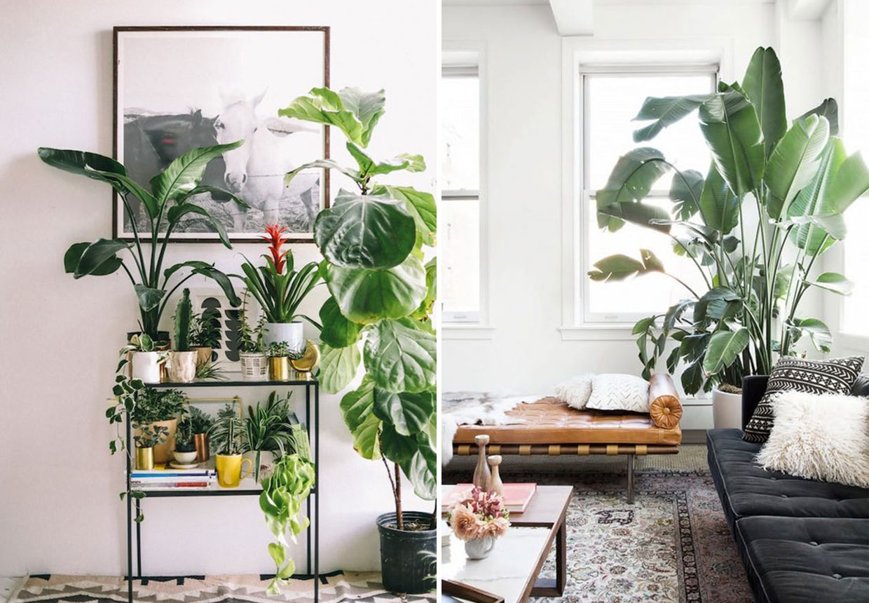 ON TREND ARTIFICIAL HOUSE PLANTS